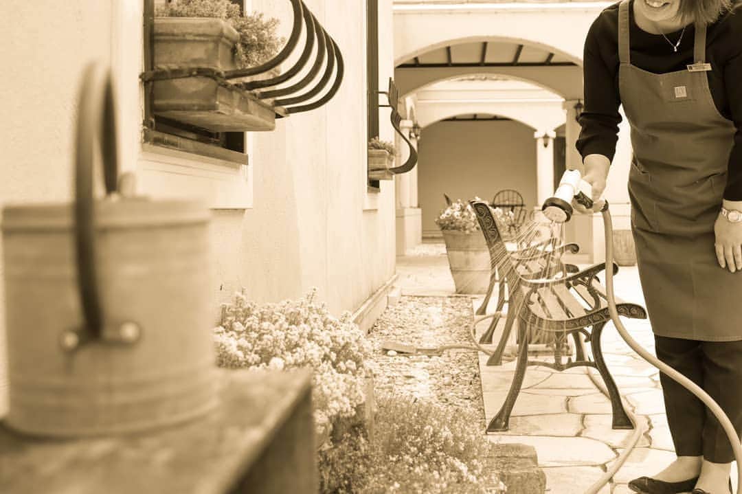 メゾン エルミタージュのグルメインスタ