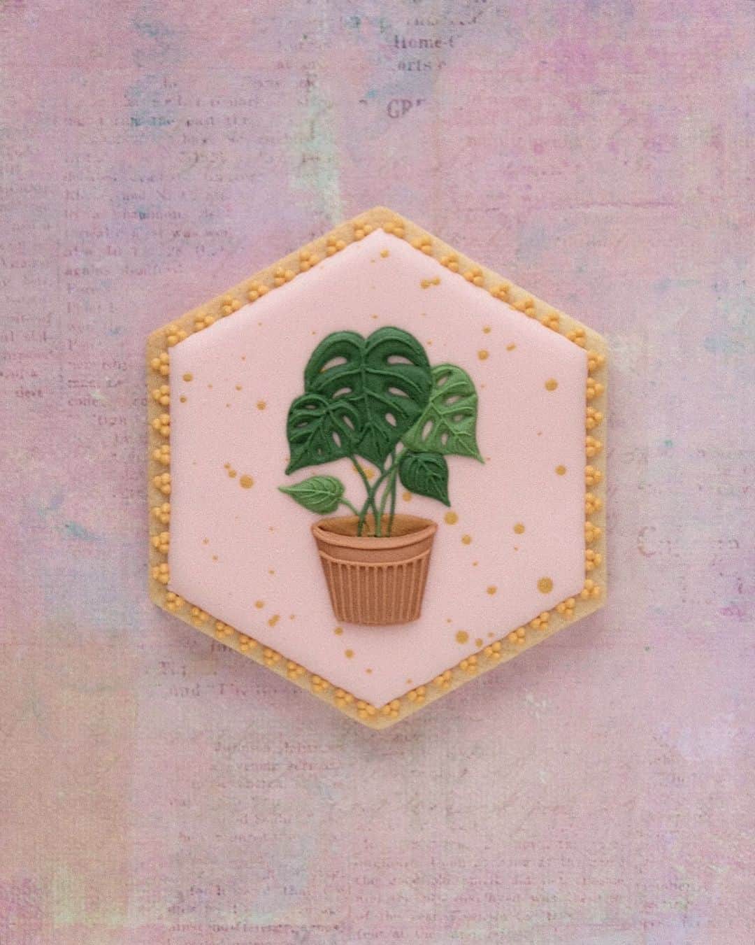 KUNIKAのインスタグラム：「Monstera plant cookie 🌿  #artofkunika」