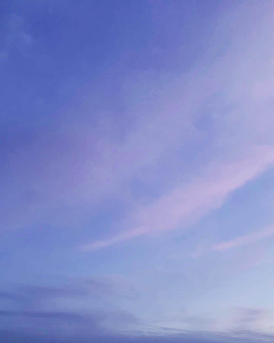 宮本茉由さんのインスタグラム写真 - (宮本茉由Instagram)「お散歩してたら、チュン太郎…🤔💭 #鬼滅の刃 #こっちみてるの可愛すぎる #立ち方イケメン」6月1日 19時11分 - mayu_miyamoto_official