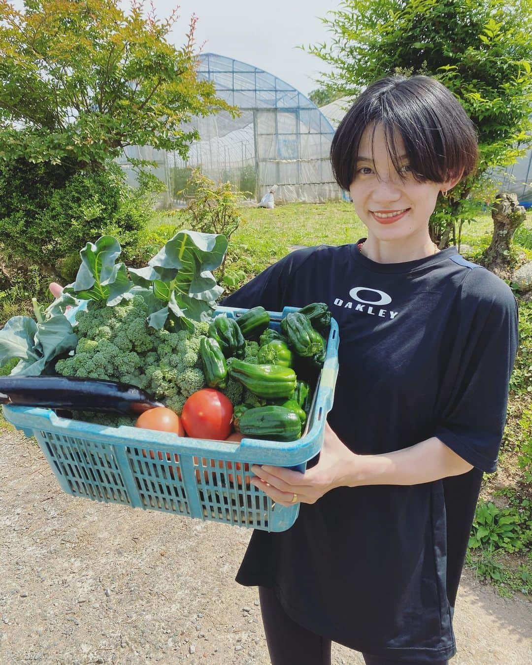 平山奈美のインスタグラム：「熊本帰省でパパの畑をお手伝いしてきました👩🏻‍🌾🧑🏿‍🌾 無農薬で作るパパの野菜は世界一美味しい🥦🍅🍆🧅🥕(どこへでも発送しますヨ👴🏻📦笑 . #熊本 #帰省 #実家 #畑 #農家 #無農薬野菜  #野菜 #野菜生活 #田舎暮らし #お手伝い #全国へお届け #ママ #パパ #夏」