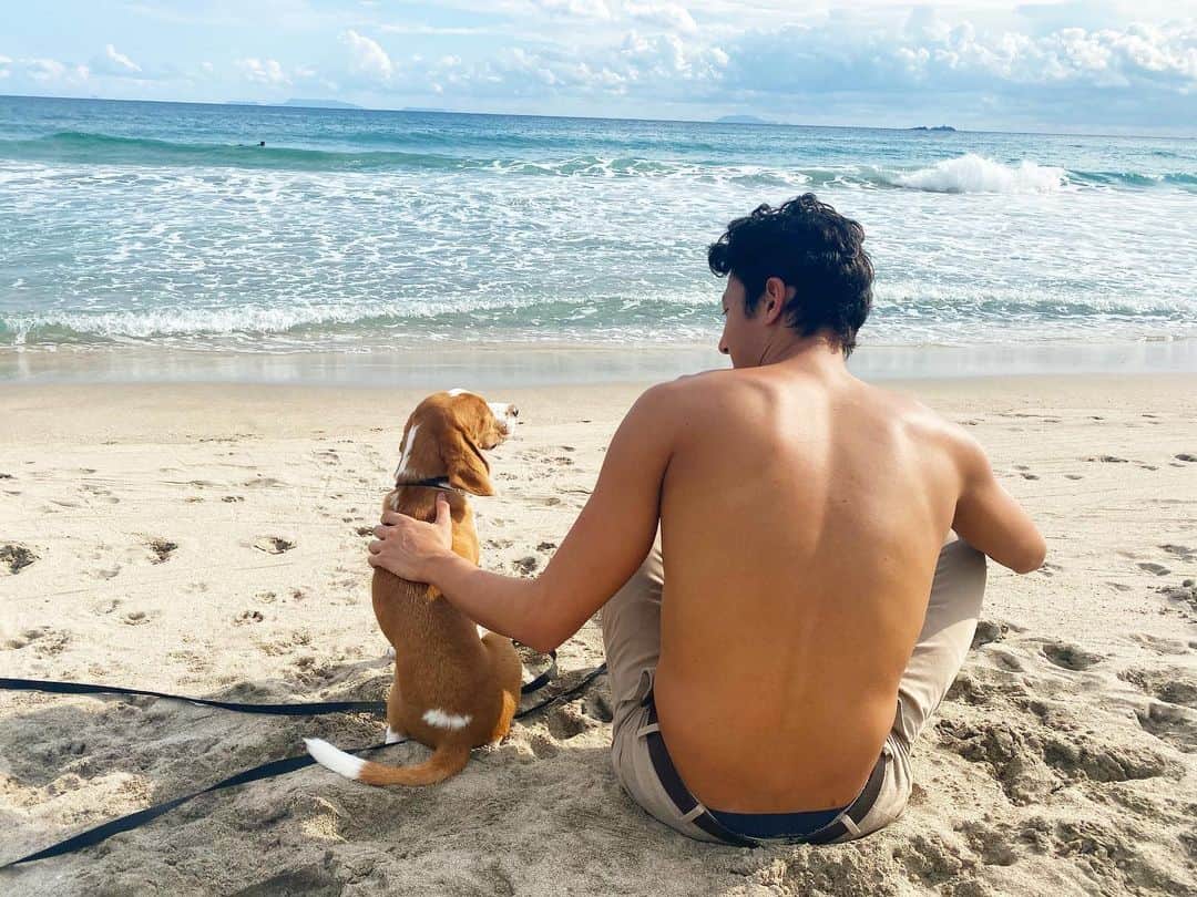 渡邊一輝のインスタグラム：「早くこいつと海に行きたいなー。 #beagle #ビーグル #過去pic」