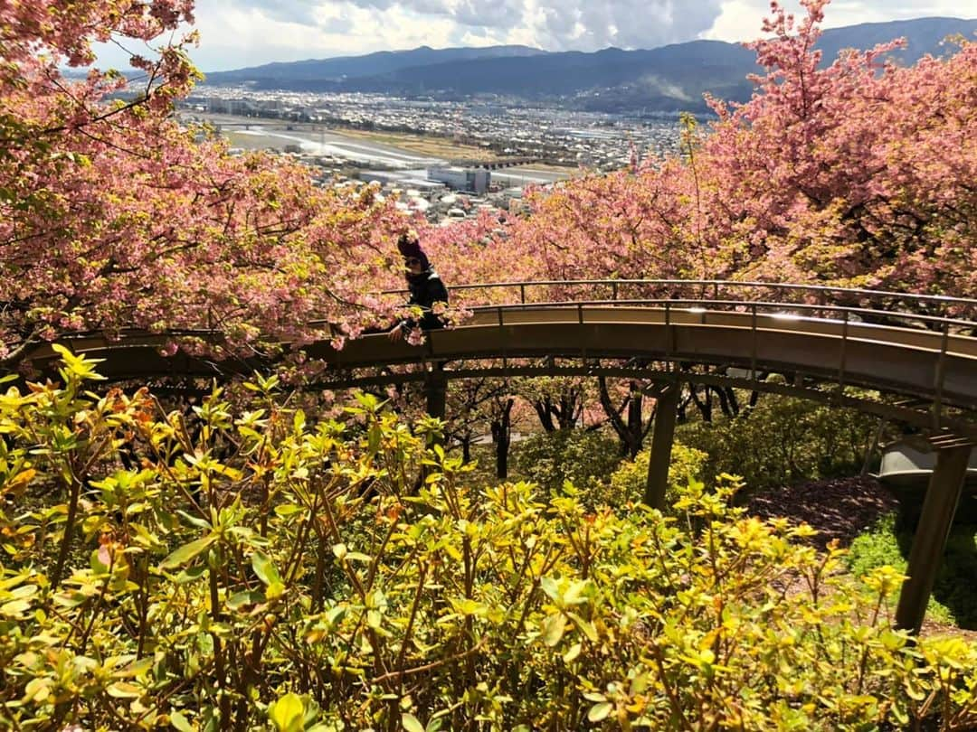 川原克己 のインスタグラム