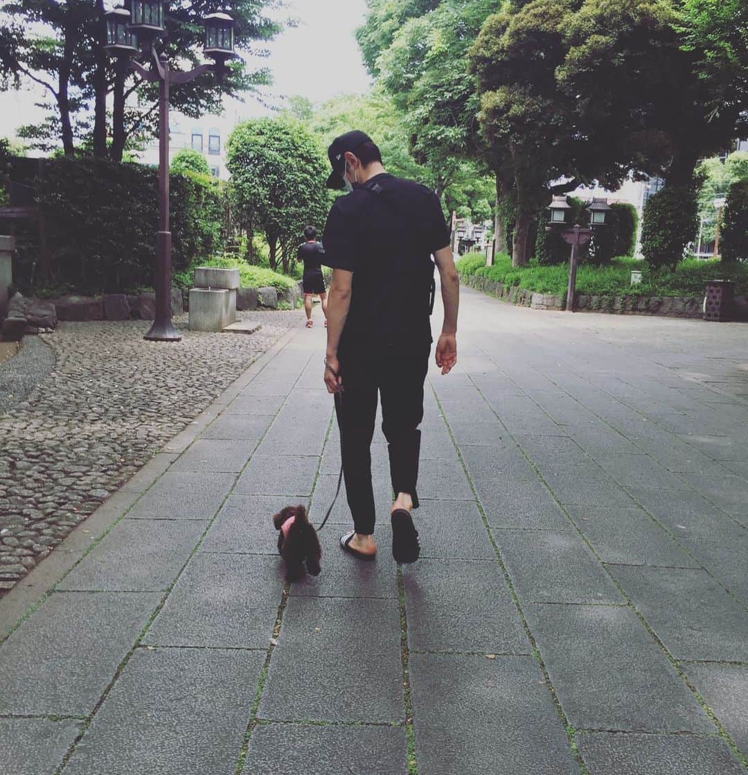 網野友雄のインスタグラム：「194センチと2キロの散歩🐩 #サニー」