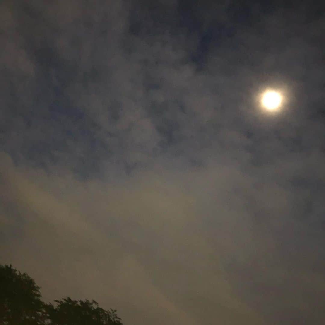吉田莉桜さんのインスタグラム写真 - (吉田莉桜Instagram)「本当は満月ではないけど、満月に見える月。」6月1日 11時13分 - yoshida_rio_official