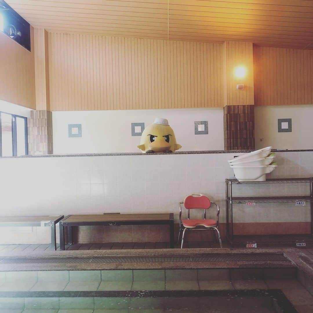 SC相模原さんのインスタグラム写真 - (SC相模原Instagram)「おふろの王様🛁 king of spa "ε(`•⊖•´)з" 町田店本日6/1より営業再開🙌 ガミティもお気に入りのお風呂にぜひお越し下さい🥰 #SC相模原#おふろの王様 #ガミティ#温泉#♨️」6月1日 11時23分 - s.c.sagamihara_players