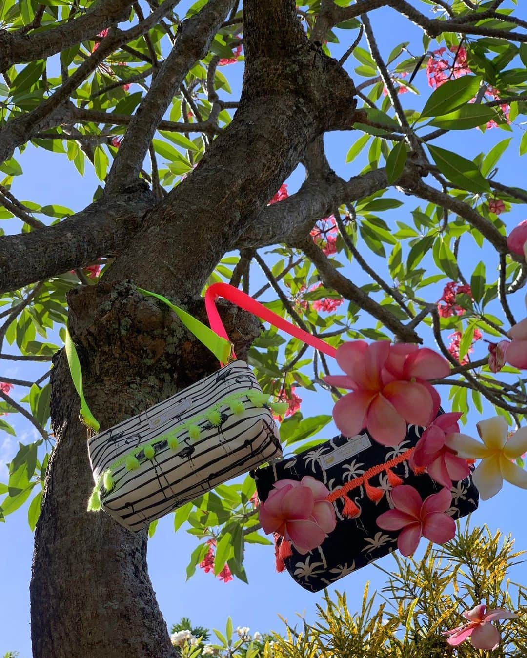 Moco Lima Hawaiiさんのインスタグラム写真 - (Moco Lima HawaiiInstagram)「Flying Flowers!  I want to fly!! New* Shoulder Bag, Made by Moco  #flowers#fly#sky#bird#hikingday#skyblue#lovelyday#photography#photoshoot#funday#niceday#wonderfulday#beautifulday#sunnyday#beachday#ocean#beach#instadairy#mocolimahawaii#hawaii#alohatime#purse#handmade#madeinhawaii#neoncolors#love#smile#smilemore#モコリマハワイ」6月1日 12時30分 - mocolimahawaii