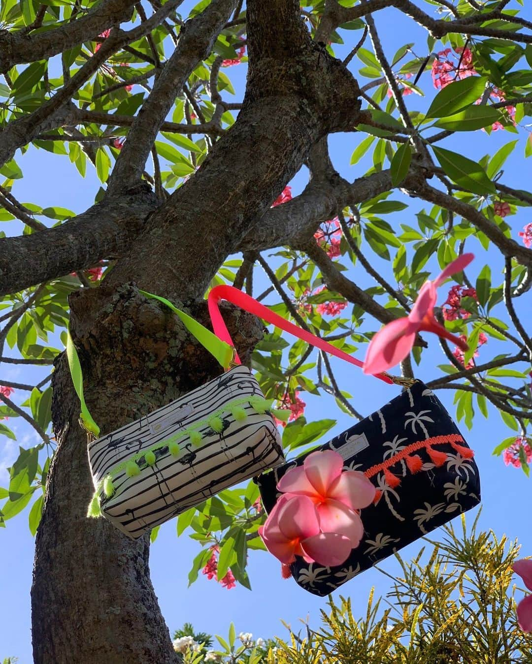 Moco Lima Hawaiiさんのインスタグラム写真 - (Moco Lima HawaiiInstagram)「Flying Flowers!  I want to fly!! New* Shoulder Bag, Made by Moco  #flowers#fly#sky#bird#hikingday#skyblue#lovelyday#photography#photoshoot#funday#niceday#wonderfulday#beautifulday#sunnyday#beachday#ocean#beach#instadairy#mocolimahawaii#hawaii#alohatime#purse#handmade#madeinhawaii#neoncolors#love#smile#smilemore#モコリマハワイ」6月1日 12時30分 - mocolimahawaii