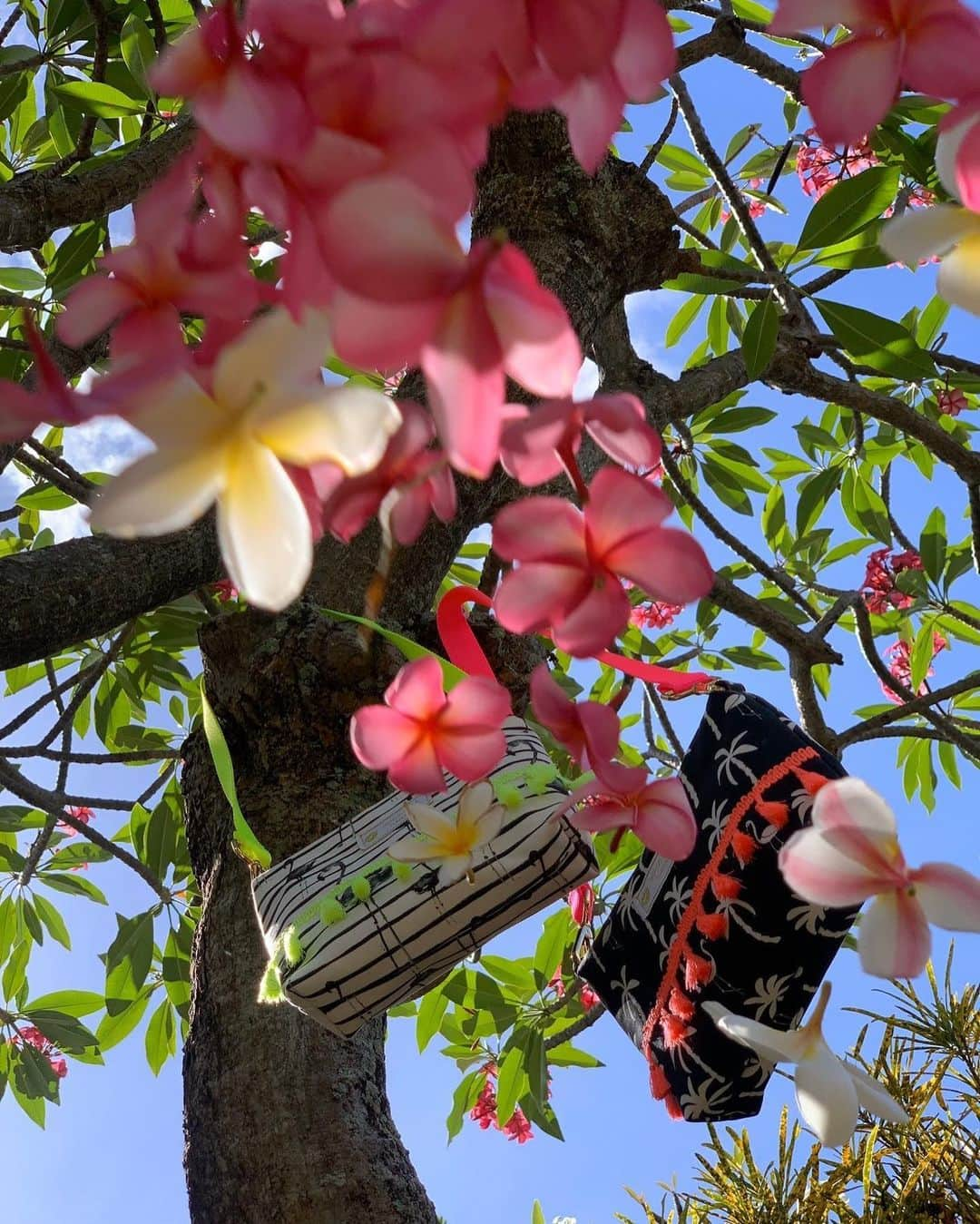 Moco Lima Hawaiiさんのインスタグラム写真 - (Moco Lima HawaiiInstagram)「Flying Flowers!  I want to fly!! New* Shoulder Bag, Made by Moco  #flowers#fly#sky#bird#hikingday#skyblue#lovelyday#photography#photoshoot#funday#niceday#wonderfulday#beautifulday#sunnyday#beachday#ocean#beach#instadairy#mocolimahawaii#hawaii#alohatime#purse#handmade#madeinhawaii#neoncolors#love#smile#smilemore#モコリマハワイ」6月1日 12時30分 - mocolimahawaii