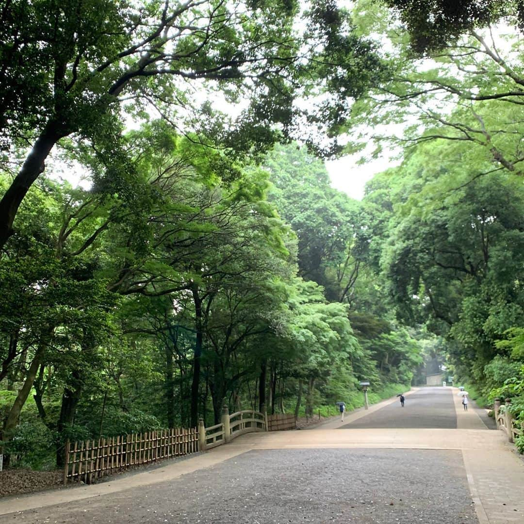 花田美恵子さんのインスタグラム写真 - (花田美恵子Instagram)「神社仏閣好きの彼の影響で、私も時間があれば参拝に行く様になりました。 ハワイにいた頃はハワイ大神宮、最近は明治神宮がお気に入り。 2人で行ってのんびり過ごすのが定番の週末の過ごし方になってます。  今朝は小雨の中、早起きついでにひとりでお散歩してきました。  雨の明治神宮は、緑が一層深くて、心が落ち着きます🌿  #tokyostyle #goodmorning #earlybird #itsraining #shrine #deepbreathing #relaxed #hawaiilife #naturetherapy  #明治神宮 #神社仏閣巡り #ハワイ大神宮 #パワースポット #早起き得意 #おはようございます」6月1日 12時56分 - hawaiimieko