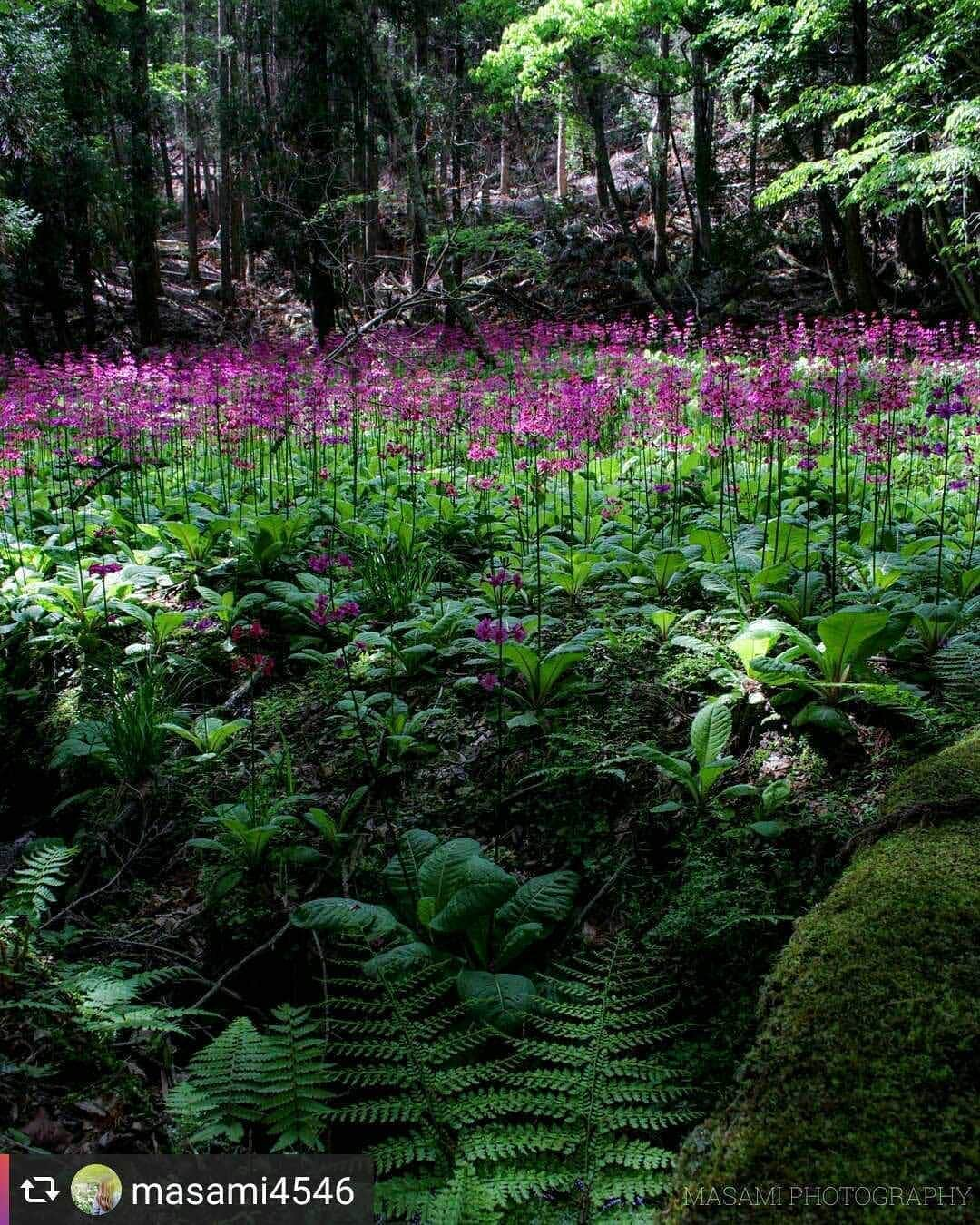 兵庫県のインスタグラム