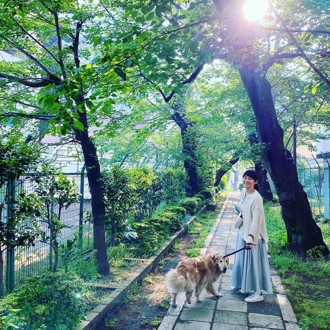 板谷由夏 さんのインスタグラム写真 - (板谷由夏 Instagram)「さてさてさて、昨日はインスタライブを 初めてやるっていうのでこちらもお初で参加しましたが この人の面白さ爆発。元気出た人も多いのでは？ 楽しかった〜。ありがとうございました😊 写真はいつぞやの、早朝散歩。 今日は会うから、とシンメのスカートひらひらで来てくれた。 彼女かっ！あたしは彼氏か！  いろんな意味でスタートです。 頑張りましょうねーーー！」6月1日 14時24分 - yukaitaya