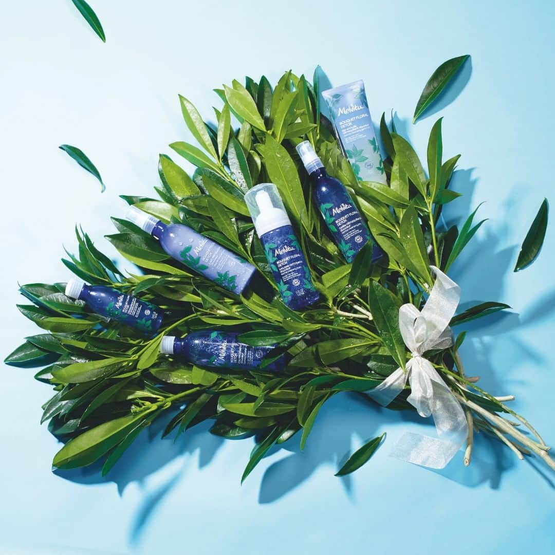 Melvita Officialのインスタグラム：「Dans la famille des Nettoyants Visage 🚿👩 Bouquet Floral Détox, vous seriez plutôt ? 🌿 Gel en Huile Démaquillant Douceur 🌿 Lait Démaquillant Douceur 🌿 Gelée Démaquillante Douceur 🌿 Eau Micellaire Douceur 🌿 Mousse Nettoyante Douceur 🌿 Démaquillant Yeux  Bi-phase Waterproof  On attend vos réponses en commentaire 💚  #Melvita #BouquetFloralDetox #cleansingmilk #cleansingfoam #cleansingprogram #thevert #antipollutionskincare #nettoyant」