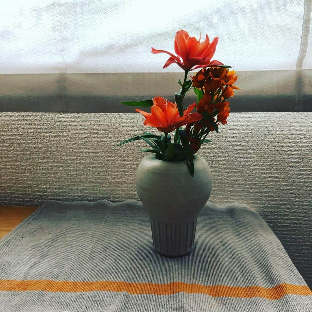 大宮エリーさんのインスタグラム写真 - (大宮エリーInstagram)「花盆のその後 それぞれの道。 #花 #花のある暮らし」6月1日 15時03分 - ellie_omiya