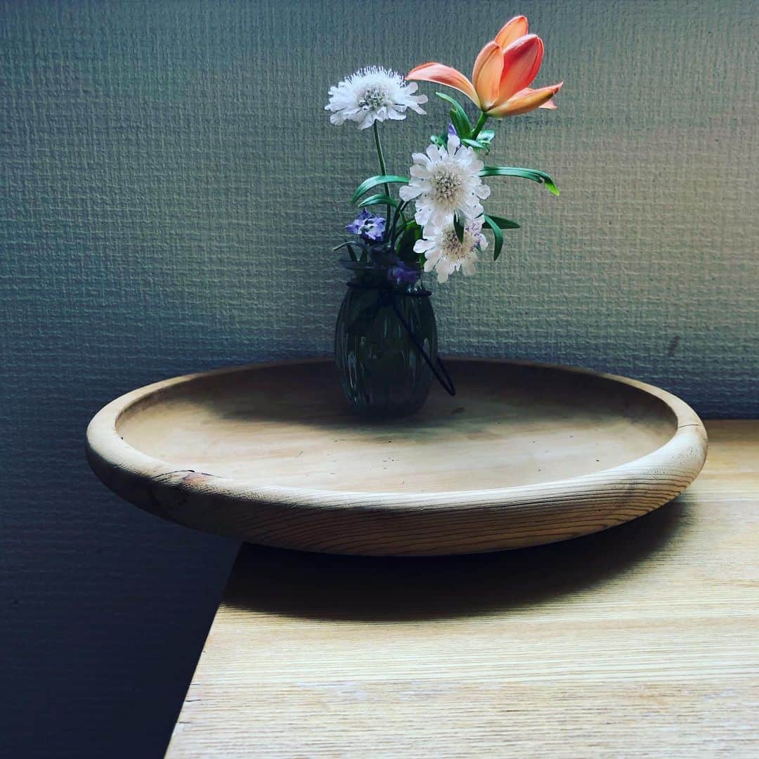 大宮エリーさんのインスタグラム写真 - (大宮エリーInstagram)「花盆のその後 それぞれの道。 #花 #花のある暮らし」6月1日 15時03分 - ellie_omiya