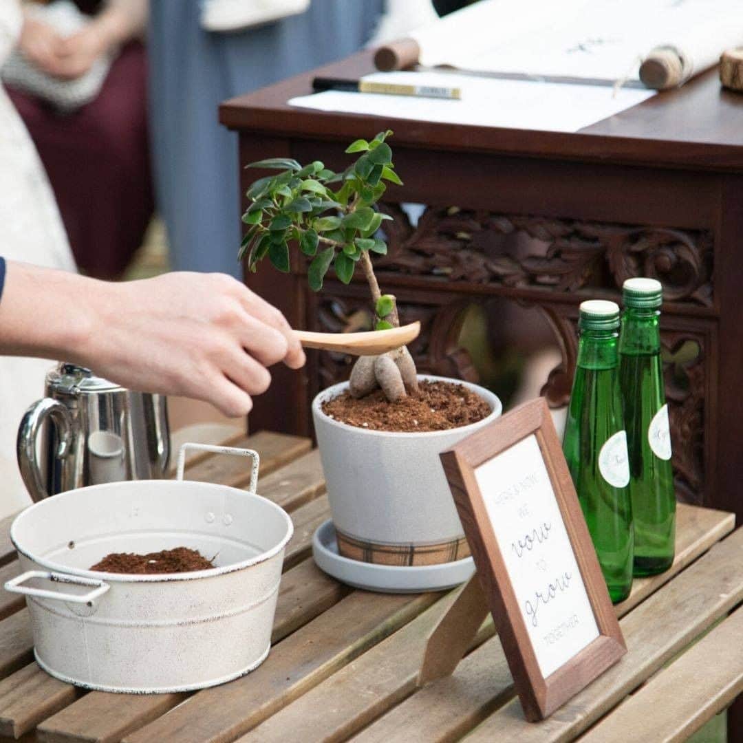 The Sally Garden（ザ サリィガーデン）のグルメインスタ