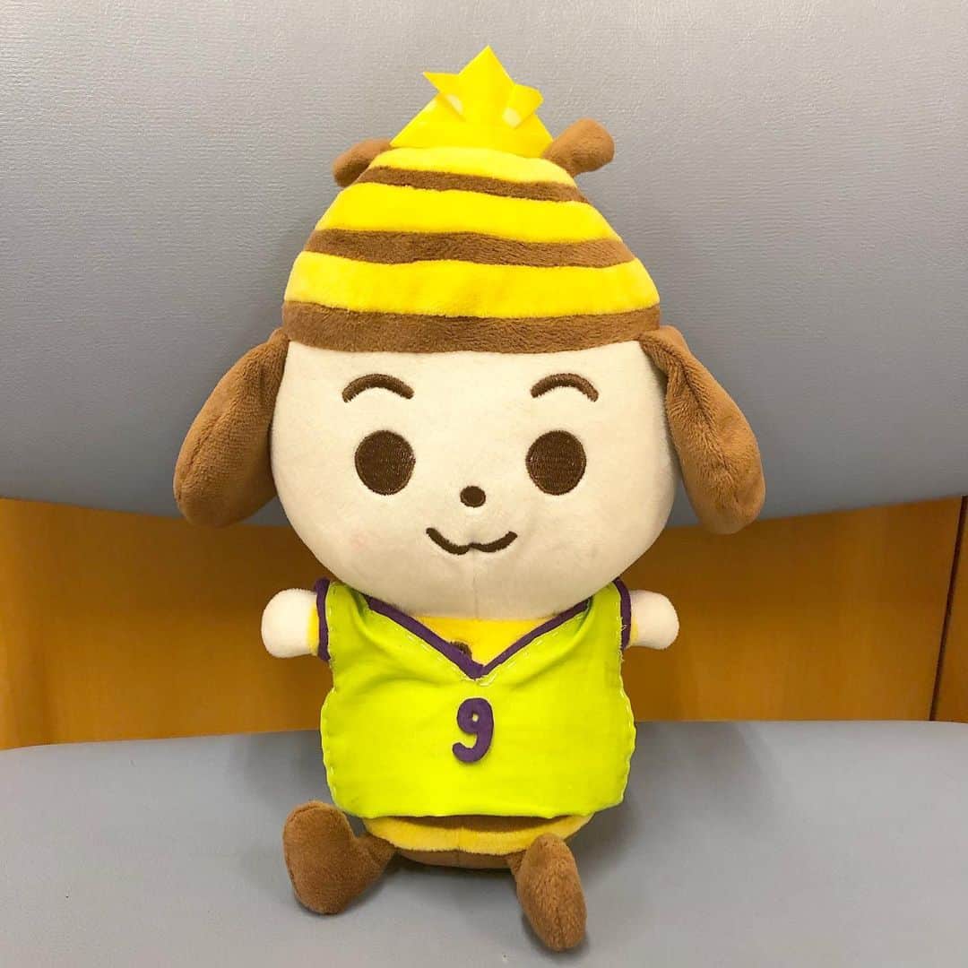 石野智子のインスタグラム：「🏀 . ‪ 先日の「いっとこ！スポーツ」は レバンガ北海道・#折茂武彦 さんが オンラインで生出演してくださいました✨‬ 引退後の今のお気持ちや 新チームのお話などを伺いました🏀 ありがとうございました🙇‍♂️✨ 2020-2021シーズンも楽しみですね！💚 ‪. . .  #スポーツ #道内スポーツ  #レバンガ北海道 #バスケットボール #バスケット #Bリーグ #UHB #アナウンサー」