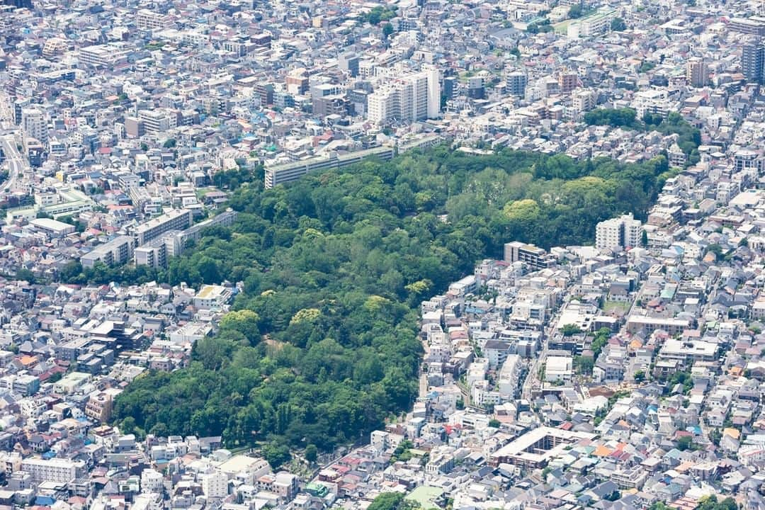 東京都庁広報課のインスタグラム