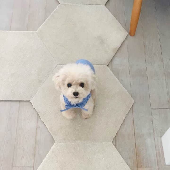 mizuのインスタグラム：「おちりぷりぷり♡」