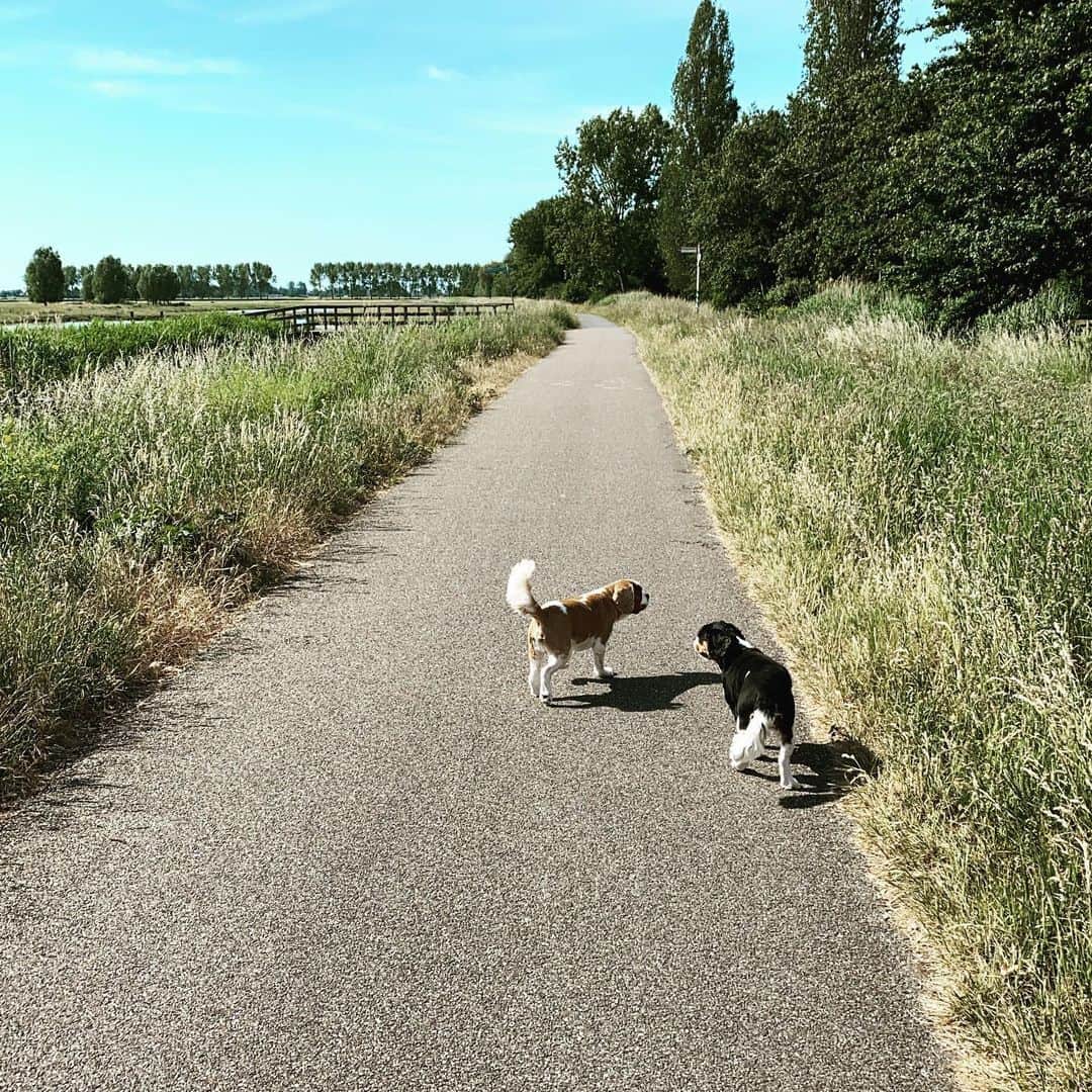 ジョエル・フェルトマンのインスタグラム：「🚶🏻‍♂️」