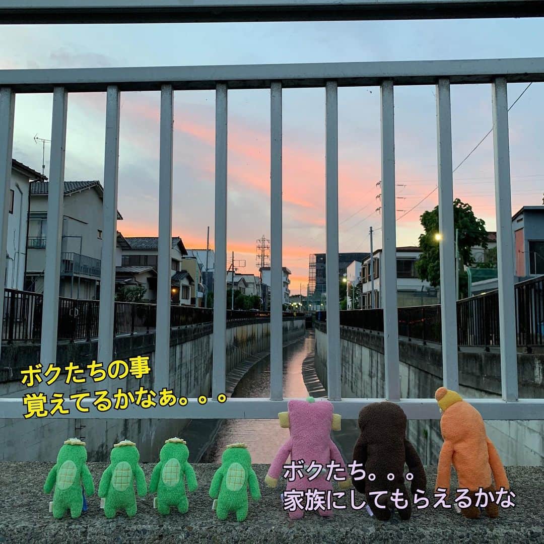 江口ともみさんのインスタグラム写真 - (江口ともみInstagram)「今日の事ではないらしい。。。 この４人はあの時の？！ そしてこの３人は？？ いつから歩いてたんだろう。。。 #fumofumosan #フモフモさん  #あの時の4人 #もしかして #近づいてきてる#なぜ」6月1日 17時47分 - tomomin.eguchi