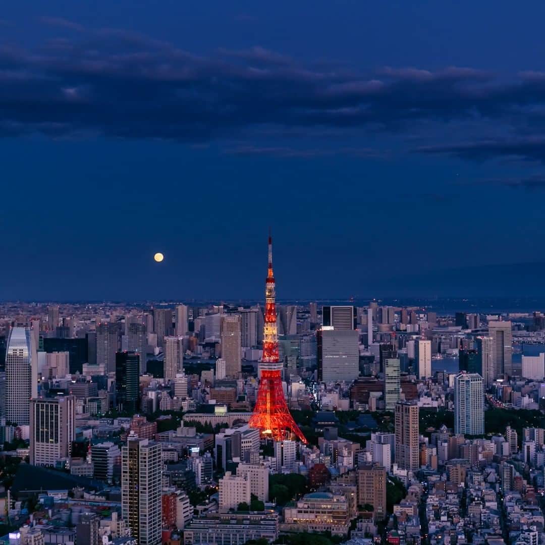 Tokyo City View 六本木ヒルズ展望台のインスタグラム：「📸六本木ヒルズ展望台 東京シティビュー から、絶景画像をお届け中！  ネイビーブルーの夜空に月がくっきりと浮かぶ、ある秋の日の東京です。凛と立つ東京タワーはどこか誇らしげで、この街を見守っているようにも見えます。🗼✨ #東京シティビュー #tokyocityview #休館中の展望台 #snsで楽しむ展望台 #荒谷良一 #東京タワー」