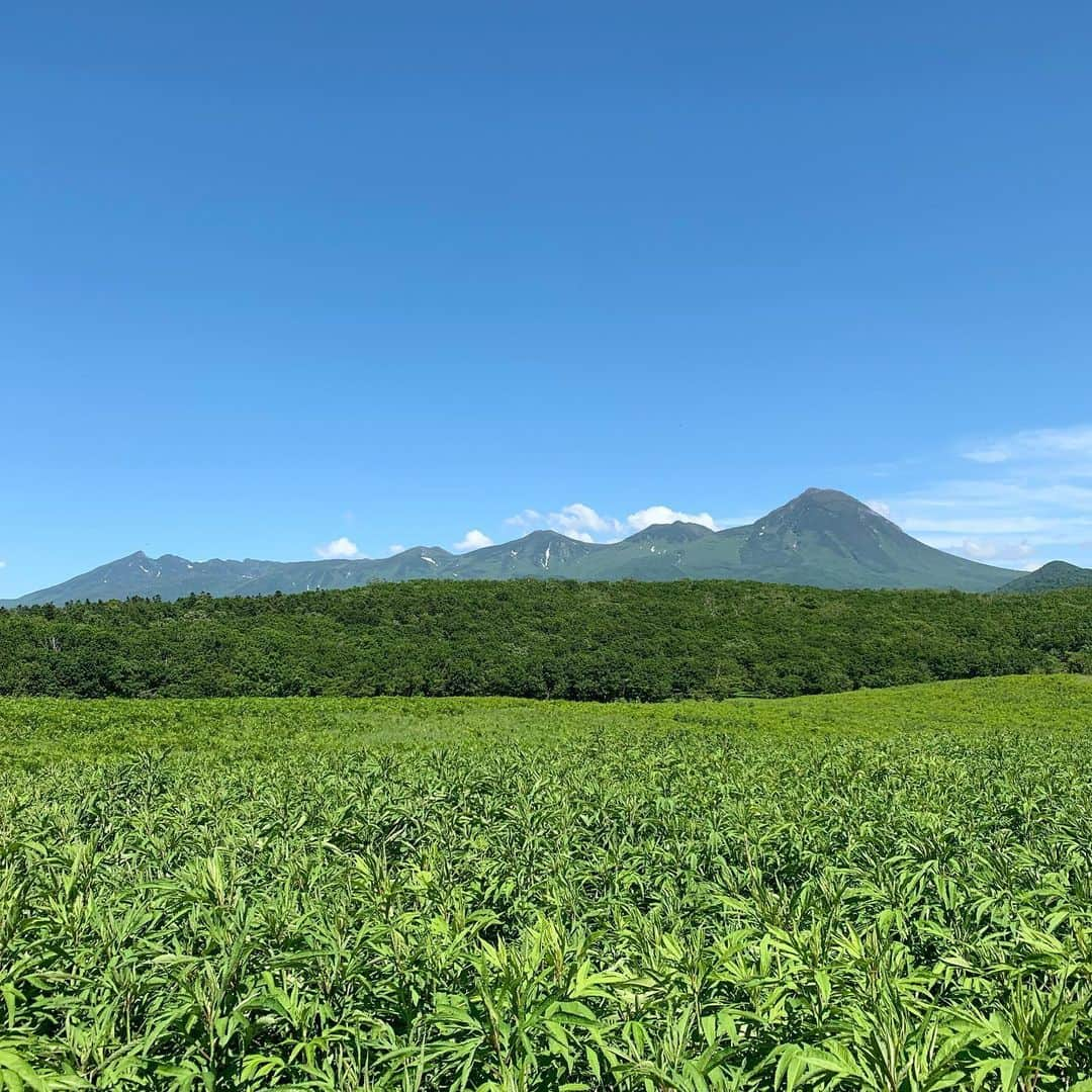 haconiwa / 箱庭のインスタグラム