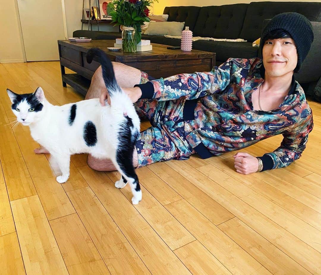 ユージン・リー・ヤンのインスタグラム：「I prefer dogs - 𝙖𝙣𝙙 𝙘𝙖𝙩𝙨 - over babies 🐱」