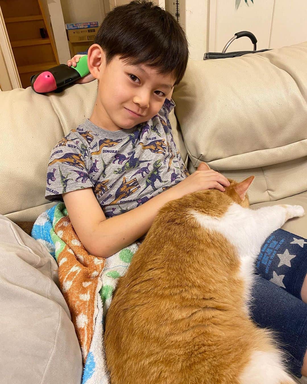 ブラザー4チャンネルのインスタグラム：「今日のアキちゃんはあっくんにベタベタ…💕 私も一度、我が子の膝の上に乗ってみたい…😍 #brother4 #猫のいる暮らし #猫好き #保護猫と暮らす #にゃんだふるらいふ」