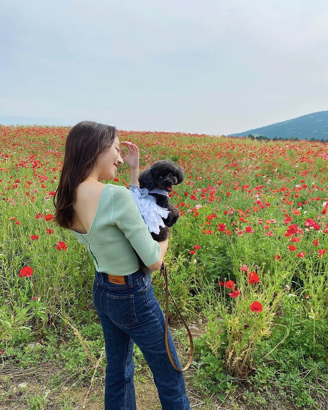 大野真昂のインスタグラム：「☺︎ ・ ココロコ連れて阿蘇ドライブ🐄 ポピーがたくさん咲いてた🌷 ・ このトップス、去年ベージュ買って 形可愛かったけん今年はミント🧼 ・ もう夏だね、熊本はあっつい😎 ・ #熊本 #阿蘇 #ドライブ #西原村 #ポピー #ココ #トイプードル #タイニープードル #ブラックプードル #coco #ootd #snidel #moussy」