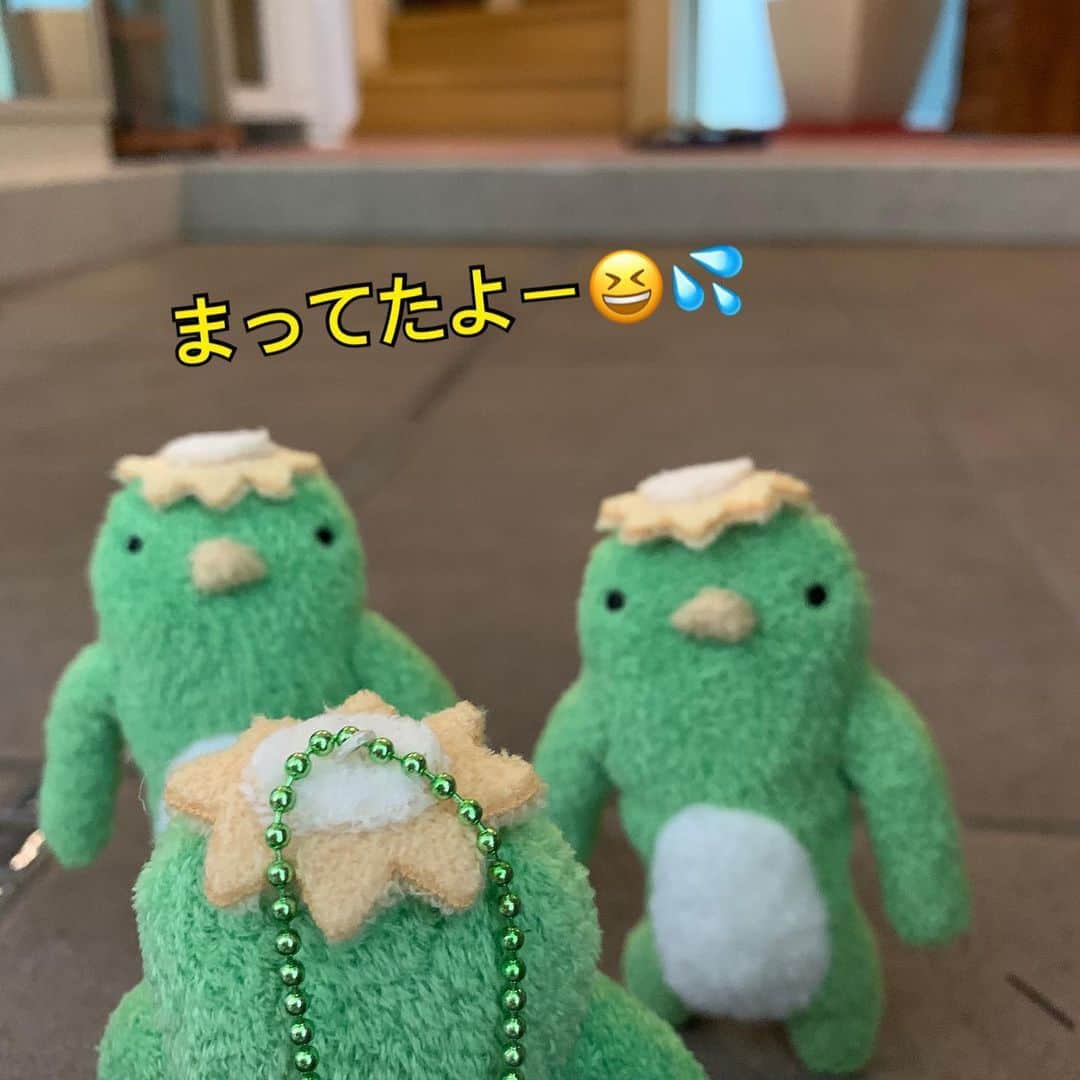 江口ともみさんのインスタグラム写真 - (江口ともみInstagram)「ん？ん？  サラとかっぺが呼んでたのか？  やはりあの４人だ‼️ その３人は？？？ 午前中には到着していたようだ  #fumofumosan #フモフモさん  #７人旅#たどり着いた #２人は知っていた」6月1日 20時36分 - tomomin.eguchi