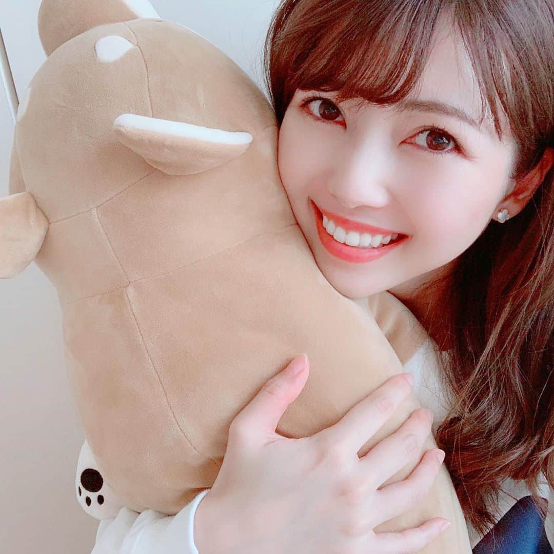 川又智菜美さんのインスタグラム写真 - (川又智菜美Instagram)「🐶💓﻿ ﻿ 6月になりましたね☺️﻿ 皆さんいかがお過ごしでしょうか？﻿ ﻿ この間、大学時代の友達と﻿ ビデオ通話をしていたら﻿ この抱き枕がおそろいと発覚しました🤣笑﻿ ﻿ 触り心地も抱き心地もいいので﻿ ベッドの横にいつも置いてありますが、﻿ 朝まで抱きしめてたことは一度もありません笑﻿ ﻿ #抱き枕 #柴犬 #リラックスタイム﻿ #癒しグッズ #ビデオ通話楽しいですね﻿ #セントフォース #アナウンサー #川又智菜美 #時間があったので #沢山写真撮ってみました」6月1日 20時48分 - chinami_k0204