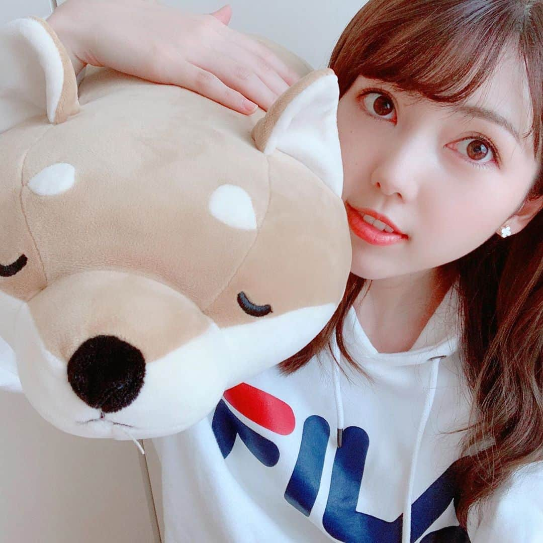 川又智菜美さんのインスタグラム写真 - (川又智菜美Instagram)「🐶💓﻿ ﻿ 6月になりましたね☺️﻿ 皆さんいかがお過ごしでしょうか？﻿ ﻿ この間、大学時代の友達と﻿ ビデオ通話をしていたら﻿ この抱き枕がおそろいと発覚しました🤣笑﻿ ﻿ 触り心地も抱き心地もいいので﻿ ベッドの横にいつも置いてありますが、﻿ 朝まで抱きしめてたことは一度もありません笑﻿ ﻿ #抱き枕 #柴犬 #リラックスタイム﻿ #癒しグッズ #ビデオ通話楽しいですね﻿ #セントフォース #アナウンサー #川又智菜美 #時間があったので #沢山写真撮ってみました」6月1日 20時48分 - chinami_k0204