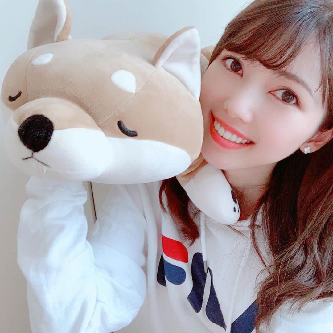 川又智菜美さんのインスタグラム写真 - (川又智菜美Instagram)「🐶💓﻿ ﻿ 6月になりましたね☺️﻿ 皆さんいかがお過ごしでしょうか？﻿ ﻿ この間、大学時代の友達と﻿ ビデオ通話をしていたら﻿ この抱き枕がおそろいと発覚しました🤣笑﻿ ﻿ 触り心地も抱き心地もいいので﻿ ベッドの横にいつも置いてありますが、﻿ 朝まで抱きしめてたことは一度もありません笑﻿ ﻿ #抱き枕 #柴犬 #リラックスタイム﻿ #癒しグッズ #ビデオ通話楽しいですね﻿ #セントフォース #アナウンサー #川又智菜美 #時間があったので #沢山写真撮ってみました」6月1日 20時48分 - chinami_k0204