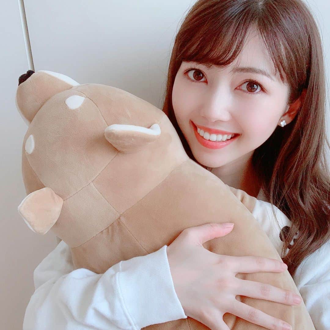 川又智菜美のインスタグラム：「🐶💓﻿ ﻿ 6月になりましたね☺️﻿ 皆さんいかがお過ごしでしょうか？﻿ ﻿ この間、大学時代の友達と﻿ ビデオ通話をしていたら﻿ この抱き枕がおそろいと発覚しました🤣笑﻿ ﻿ 触り心地も抱き心地もいいので﻿ ベッドの横にいつも置いてありますが、﻿ 朝まで抱きしめてたことは一度もありません笑﻿ ﻿ #抱き枕 #柴犬 #リラックスタイム﻿ #癒しグッズ #ビデオ通話楽しいですね﻿ #セントフォース #アナウンサー #川又智菜美 #時間があったので #沢山写真撮ってみました」