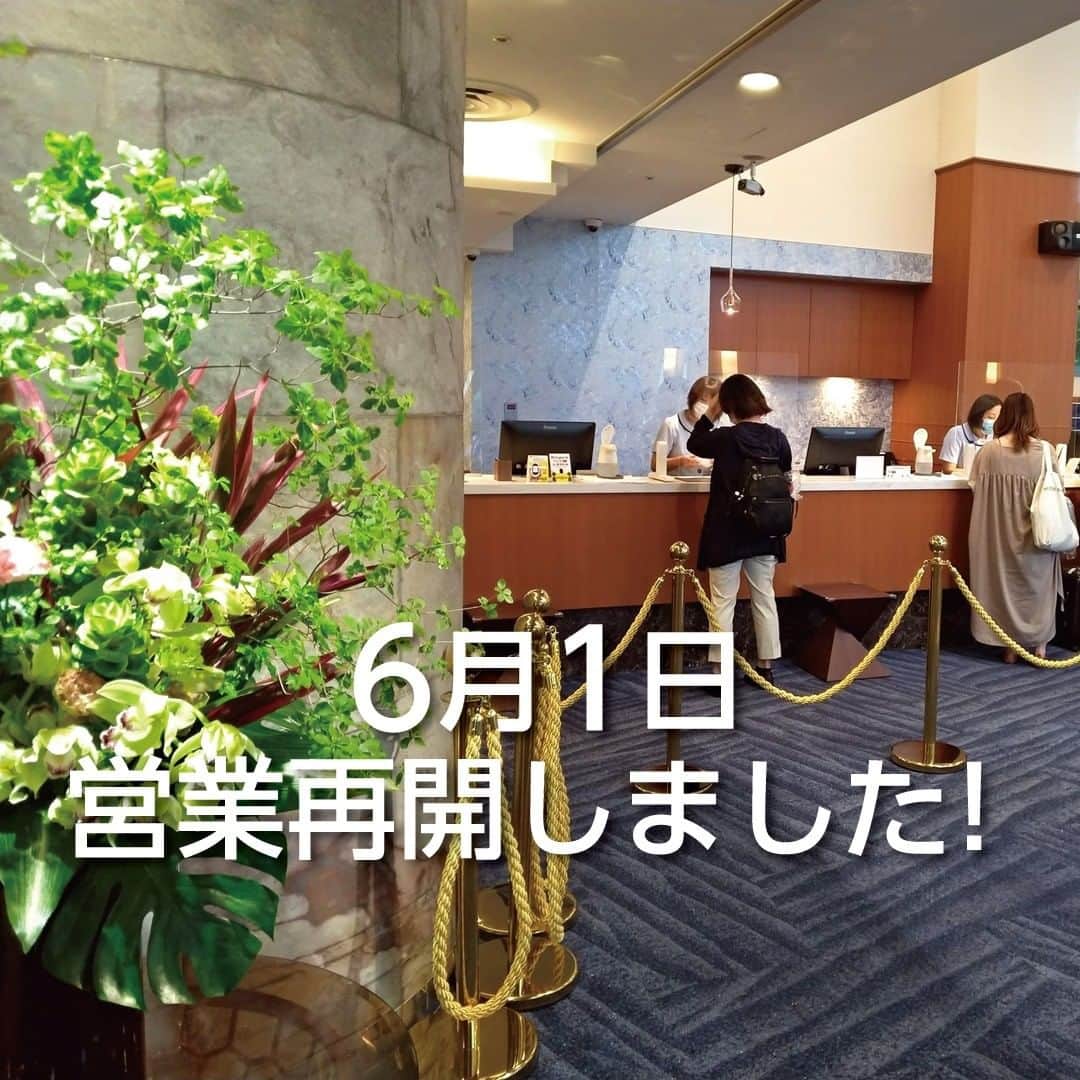 【公式】オーシャンリゾートホテル マホロバ・マインズ三浦のグルメインスタ