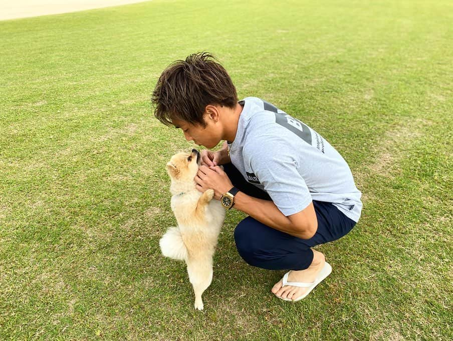 飯田貴敬さんのインスタグラム写真 - (飯田貴敬Instagram)「ベイクと俺  #サマーカット丸坊主ベイク @baaaaake  #最近22時くらいになると #1人でリビングから寝室に行きます #そのあと寝室に行くと #人間みたいに枕使って寝てます #22時就寝7時起床のタイプ #ポメラニアン」6月1日 21時01分 - takaman.27