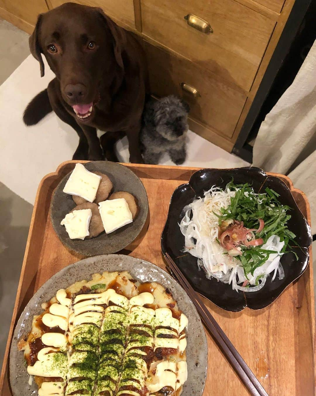 masakiさんのインスタグラム写真 - (masakiInstagram)「久しぶりにゆっくり晩ごはん 今宵はひとり飯、付き添い付き🐨🐴 きのうのお好み焼きパーティの残り、 ブラックタイガー入りシーフードお好み焼き。 しらすと新玉ねぎのスライスサラダ、 いぶりがっこチーズ。 酒呑みに見える顔してるらしいですけど、実はダメな私。 この歳にして、ちょいと覚えてみようかな♡」6月1日 21時07分 - mogurapicassowols