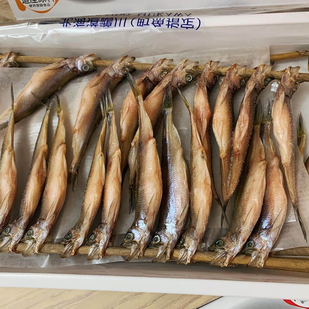 唯一無二の絶品グルメさんのインスタグラム写真 - (唯一無二の絶品グルメInstagram)「【カネダイ大野商店】﻿ @通販(お取り寄せ)﻿ ﻿ 北海道太平洋沿岸だけに生息する極上の生干ししゃもを販売中の専門店。﻿ ﻿ 国内に流通されるししゃもの大半が輸入魚の中、太平洋沿岸で漁獲された最高のししゃものみを取り扱っています！﻿ オスは大きめ肉厚食感、メスはぎっしり卵が入った一級品です！﻿ ﻿ クッキングシートを敷いてフライパンで焼き上げましたが脂がジュワッとにじみ出てくるほどジューシーでした！﻿ ﻿ 紹介している生干ししゃもは中サイズオス＆Sサイズのメスで、4串セットで購入すると送料無料になります！(沖縄のみ送料1000円かかります)﻿ オスもメスも金額は両方とも3800円です。﻿ ﻿ ししゃもは個人的に好きな魚ですが、ここのししゃもは最高に美味でした！﻿ オスとメスでサイズが若干異なるので、ボリューム満点で食べたいならオス、卵のプチプチ感を楽しみたいならメスがオススメです！（最後の画像にサイズ比較載せてます）﻿ ﻿ ちなみにこちらの商品は北海道にある実店舗の店頭でもテイクアウト販売されています！﻿ (お店の場所は北海道勇払郡むかわ町美幸2丁目42番地になります)﻿ ﻿ #pr」6月1日 21時15分 - muni_gurume_japan