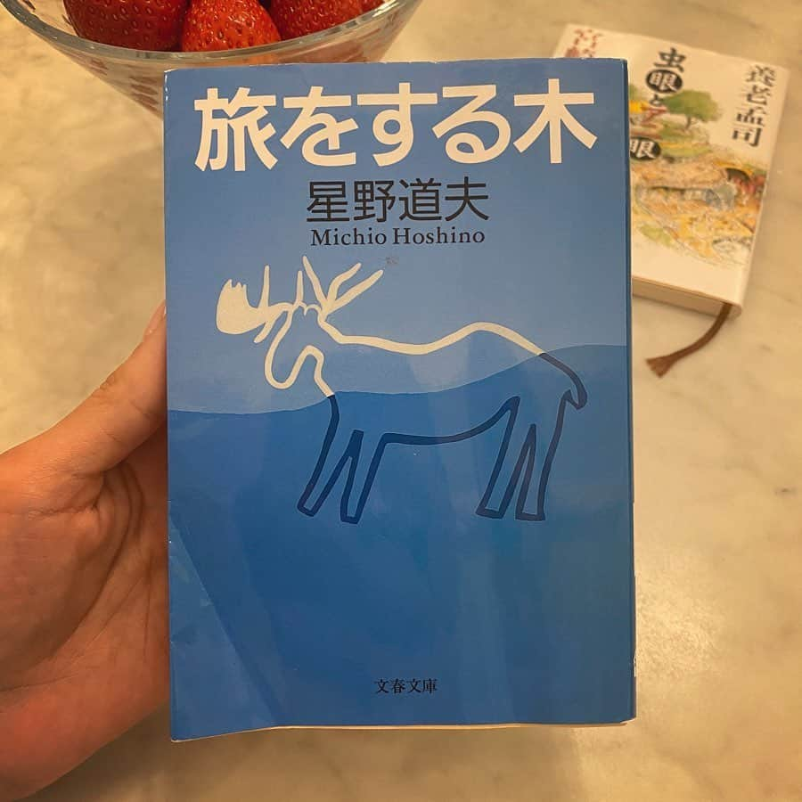 mioさんのインスタグラム写真 - (mioInstagram)「忘れている方も多いことでしょうw わたしが #ブックカバーチャレンジ してたことを。 最後の2冊、まとめてご紹介いたします。  #bookcoverchallenge  読書文化の普及に貢献するのが目的。 好きな本を7冊、カバー画像を投稿紹介する . ●at Home 上田義彦 友人の結婚祝いにこの写真集を贈ったことがあります。心が温まる一冊。 @houseoflotuskaren の旦那様。 . ●旅をする木 星野道夫 大好きな本です。何回も読み返しました。旅をするときに持っていくことも。」6月1日 21時25分 - mio_harutaka