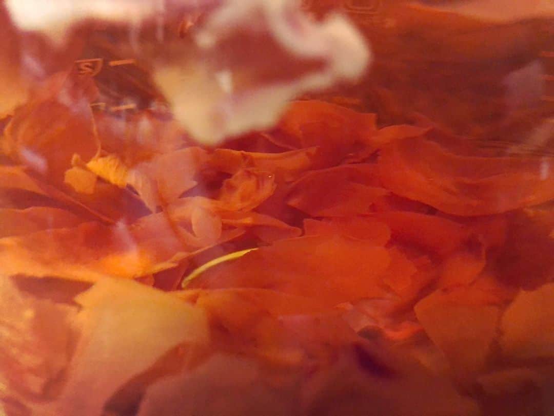 Baekのインスタグラム：「薔薇が全部散ってしまったので寂しいなーと思って今日は母の作った薔薇のお茶を飲みました。お湯をいれると甘ーい薔薇の香りがする！花びらがゆらよらしてるのがとでも綺麗でずっとみていた。 またはやく薔薇咲かないかなー」