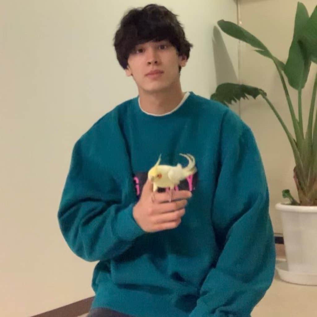 才川コージのインスタグラム：「うちのルッチだ。 . 特技は肩に💩だ。 #オカメインコ」