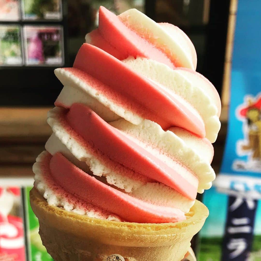 一井悠理さんのインスタグラム写真 - (一井悠理Instagram)「#strawberryandVanilla #ice cream」6月1日 21時54分 - yuripoyo.1212