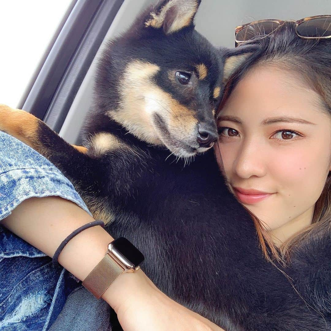 國武愛美さんのインスタグラム写真 - (國武愛美Instagram)「. れあくん1歳バースデイ💗🎂🎉🐶おめでとう🎊これからもよろしくね🐶✌︎れあのおかげで毎日幸せだよ🥰✴︎れあにも幸せって思ってもらえるようにたくさん尽くそう🧚🏼‍♀️💕 . . #6.1 #れあ #愛犬 #1歳#HAPPYBIRTHDAY」6月1日 22時08分 - kunitake_aimi