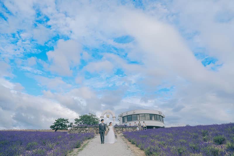 STUDIO SOLAさんのインスタグラム写真 - (STUDIO SOLAInstagram)「青空の下、ラベンダーの香りに包まれて🌱﻿ ﻿ ﻿ \\オンライン相談会はじめました//﻿ ご予約はプロフィール欄のホームページリンクから✨﻿ ﻿ 7月から9月の撮影予約も好評受付中です！﻿ ﻿ ﻿ ﻿ #パッチワークの丘  #STUDIOSOLA﻿ #スタジオソラ ﻿ @decollte_weddingphoto @decollte_weddingstyle @d_weddingphoto_jp﻿ #weddingphoto  #instagood #結婚式前撮り #新婚旅行 #チェリフォト #北海道旅行﻿ #富良野 #北海道前撮り#牧場 #ロケーションフォト #tokyo_camera_club #前撮り#東京カメラ部﻿ #weddingdress #prewedding #写真好きな人と繋がりたい #ひまわり畑  #ラベンダー  #ウエディングヘア﻿ #wedding #結婚写真 #前撮り #プレ花嫁#卒花嫁 #日本中のプレ花嫁さんと繋がりたい #結婚式﻿ #結婚式準備」6月1日 22時22分 - studiosola_hokkaido