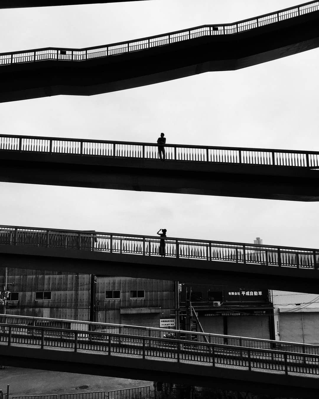Jamioのインスタグラム：「Sense of distance. 距離感。 . #ShotoniPhone iPhone Only .」