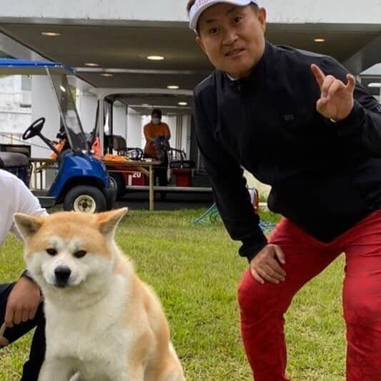 神奈月さんのインスタグラム写真 - (神奈月Instagram)「足柄のギャツビイゴルフクラブ⛳️ 秋田犬のレオ君と記念撮影📸 なんと、ザギトワ選手⛸が飼うマサルの弟くんでしたー☺️ #神奈月　#ギャツビイゴルフクラブ  #ザギトワ　#マサル」6月1日 22時30分 - kannazuki.official