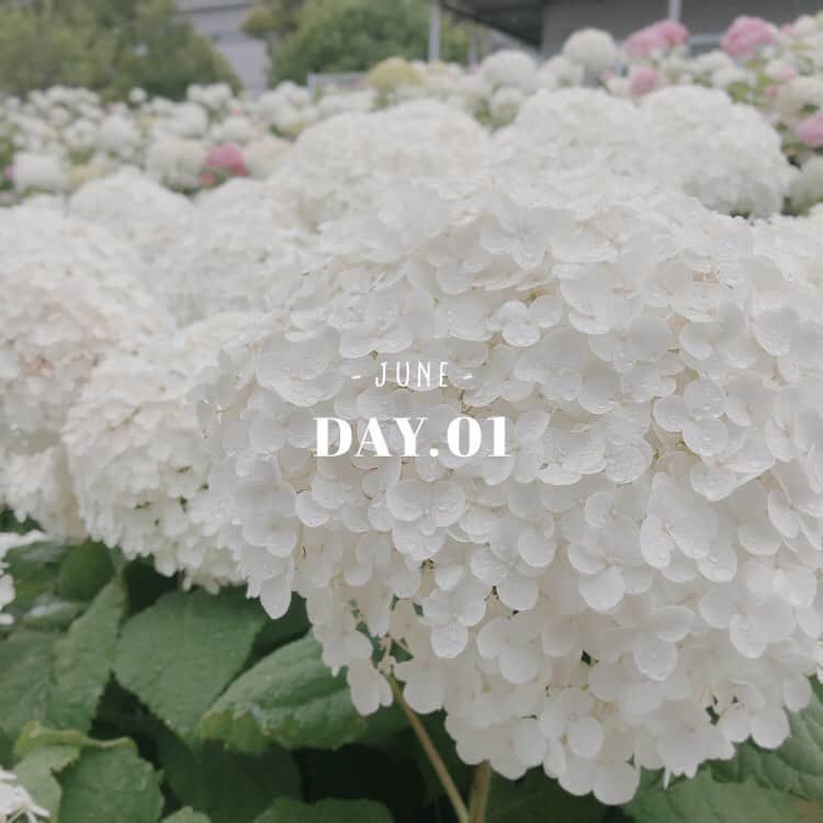 のインスタグラム：「いつの間にかもう6月😳 みんな元気ー？！ ・ #毎日あっという間 #1日1日を大切に #自分に何度も言い聞かせる」