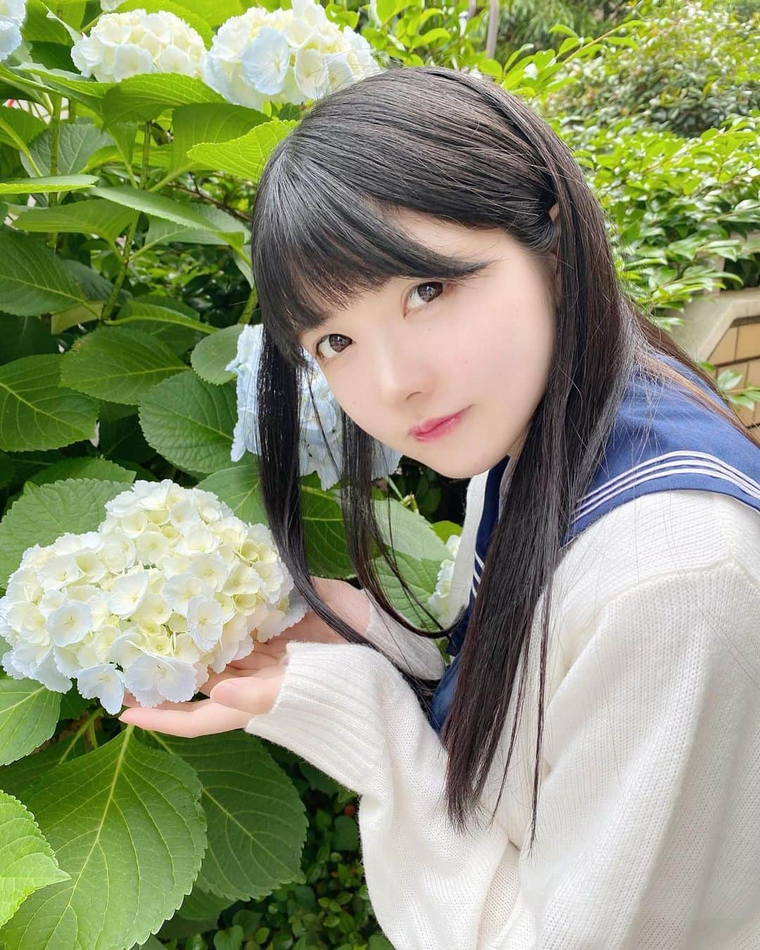 小野寺梓さんのインスタグラム写真 - (小野寺梓Instagram)「紫陽花の花言葉浮気なんだって(;-;) ・ ・ ・ 私じゃだめ(;-;)？ ・ ・ ・  #紫陽花 #あじさい #セーラー服 #水手服 #制服 #小野寺梓 #真っ白なキャンバス #白キャン」6月1日 23時28分 - onoderaco