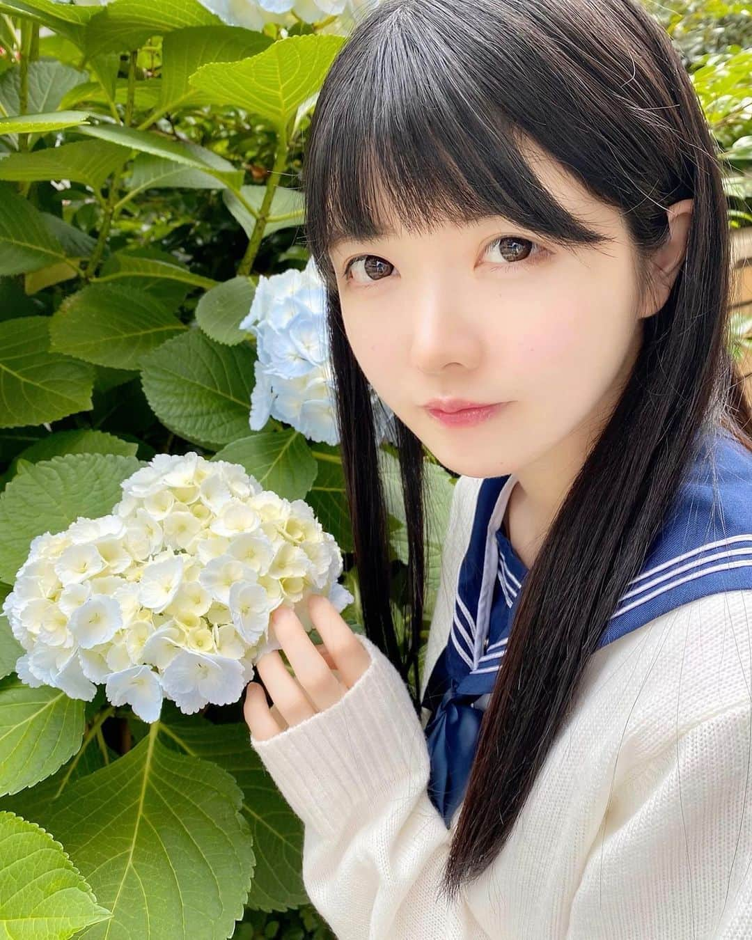 小野寺梓さんのインスタグラム写真 - (小野寺梓Instagram)「紫陽花の花言葉浮気なんだって(;-;) ・ ・ ・ 私じゃだめ(;-;)？ ・ ・ ・  #紫陽花 #あじさい #セーラー服 #水手服 #制服 #小野寺梓 #真っ白なキャンバス #白キャン」6月1日 23時28分 - onoderaco