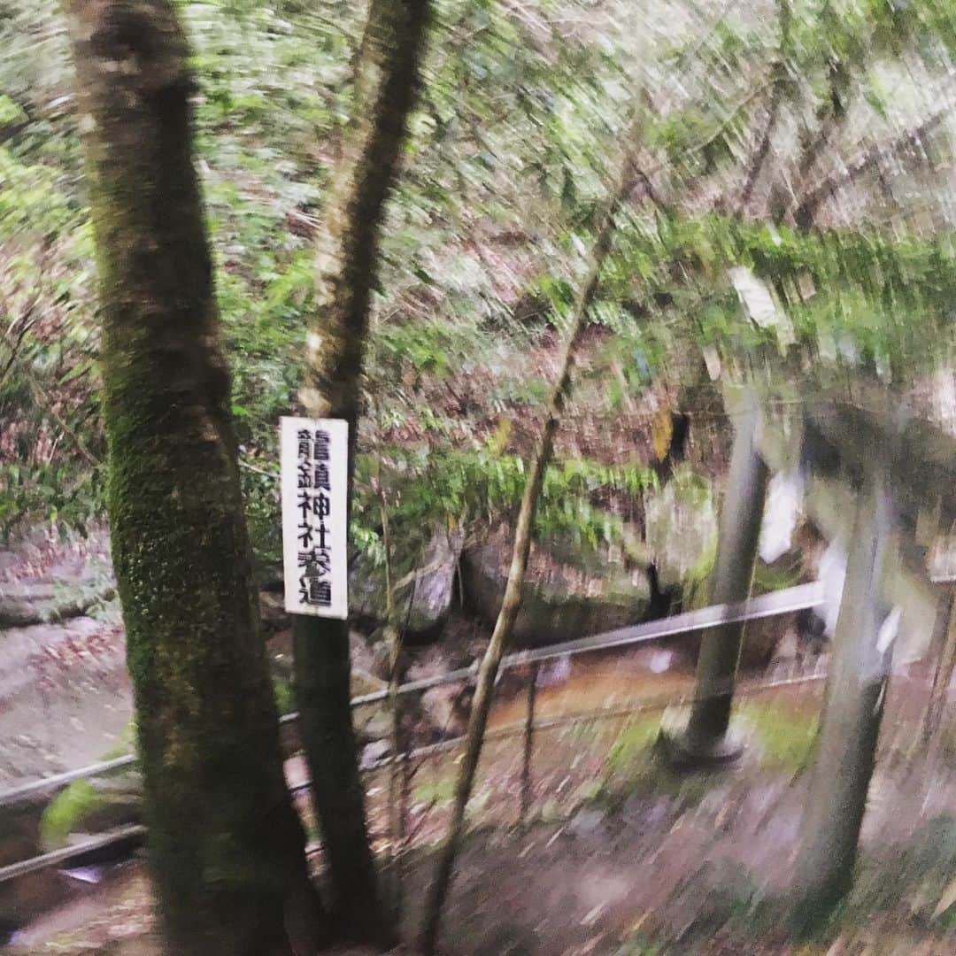 宮田麺児のインスタグラム：「竜神様に逢いにいったら 写真が1枚ぐるぐるになりました。」